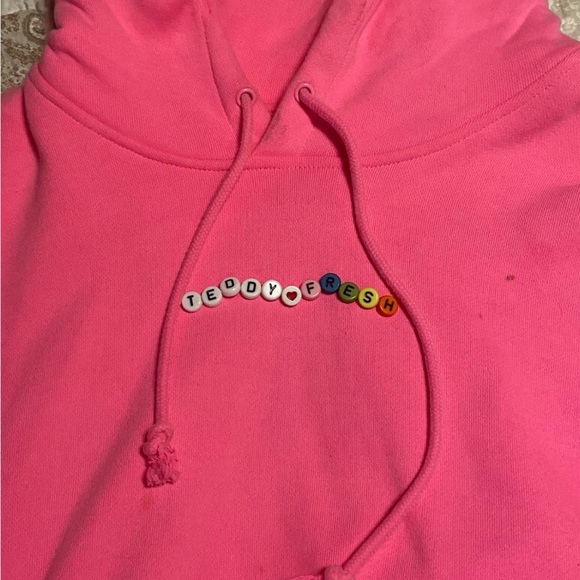 Teddy Fresh Cropped Hoodie - Picture 3 of 3